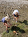 Kleines Wasserrad - Pilzessin.at - zauberhafte Kinderdinge