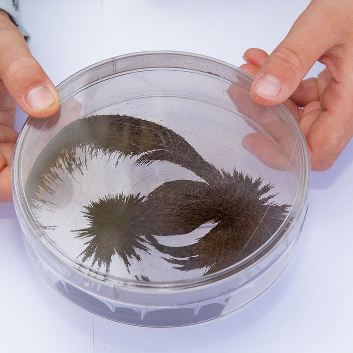 Magnetspiele - Natur und Technik - Pilzessin.at - zauberhafte Kinderdinge