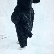 Anzug Lama Suit - Pilzessin.at - zauberhafte Kinderdinge