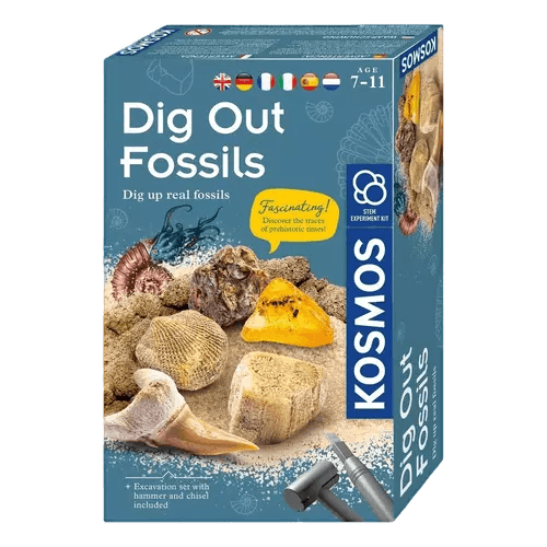 Ausgrabungsset Fossilien Dig Out Fossils - Pilzessin.at - zauberhafte Kinderdinge