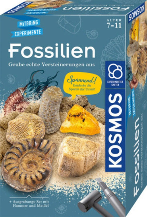 Fossilien : das Experiment - Pilzessin.at - zauberhafte Kinderdinge