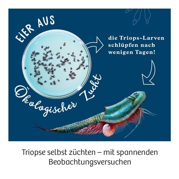 Triops-Welt zum Züchten - Pilzessin.at - zauberhafte Kinderdinge
