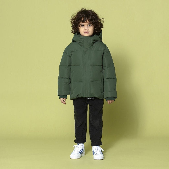 wasserdichte, gefütterte Winterjacke Dragon EYE in green forest von GOSOAKY ♥ - Pilzessin.at - zauberhafte Kinderdinge